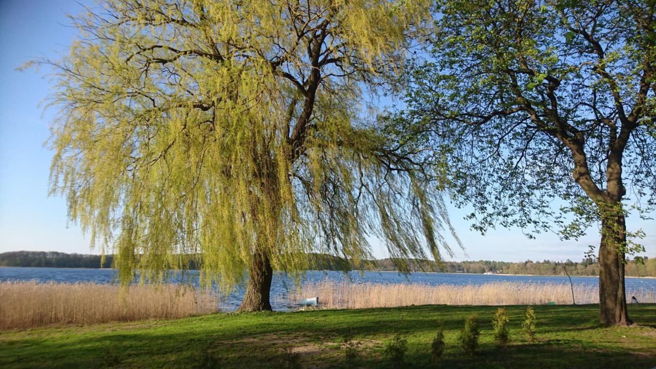 Domek Letniskowy Dario Ińsko Exterior foto
